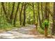 Tree-lined path with mature trees and lush foliage at 3060 Bohicket Rd, Johns Island, SC 29455