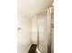 Bathroom featuring a glass shower with black tile base at 307 Fairington Dr, Summerville, SC 29485