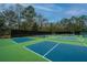 Outdoor pickleball courts with blue and green surfaces, surrounded by a tall fence at 3502 Stockton Dr, Mount Pleasant, SC 29466