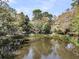 Reflective pond surrounded by mature trees creates a serene and picturesque natural landscape at 410 Ocean Oaks Ct, Kiawah Island, SC 29455
