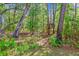 Wooded lot featuring a cool treehouse and plenty of space for outdoor activities and exploration at 5035 Gum Tree Ln, Johns Island, SC 29455
