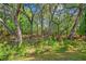 Mature trees surround a large grassy yard perfect for recreation and privacy at 5035 Gum Tree Ln, Johns Island, SC 29455