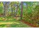 Mature trees surround a large grassy yard perfect for recreation and privacy at 5035 Gum Tree Ln, Johns Island, SC 29455