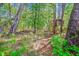 Wooded lot featuring a cool treehouse and plenty of space for outdoor activities and exploration at 5035 Gum Tree Ln, Johns Island, SC 29455