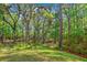Mature trees surround a large grassy yard perfect for recreation and privacy at 5035 Gum Tree Ln, Johns Island, SC 29455