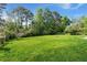 Expansive green backyard with lush lawn, mature trees, and plenty of open space at 65 University Dr, Ladson, SC 29456