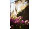 Up close view of blooming pink azaleas along the base of an outcropping of rocks and spanish moss at 731 Pitt St, Mount Pleasant, SC 29464