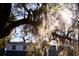 Beautiful backyard featuring mature trees, perfect for relaxing and enjoying the natural surroundings at 731 Pitt St, Mount Pleasant, SC 29464