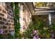Exterior brick wall covered in vines with flowers in the foreground at 731 Pitt St, Mount Pleasant, SC 29464