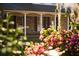 Brick home featuring a covered porch with columns and beautiful pink flowering bushes at 731 Pitt St, Mount Pleasant, SC 29464