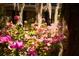 Beautiful flower beds on the property provide a peaceful and welcoming atmosphere at 731 Pitt St, Mount Pleasant, SC 29464