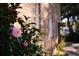 Well-manicured landscaping complements the brick exterior, adding charm to this inviting home at 731 Pitt St, Mount Pleasant, SC 29464