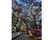 Tree-lined street featuring mature trees and landscaped sidewalks at 1075 Avenue Of Oaks, Charleston, SC 29407