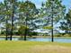 A picturesque pond surrounded by lush greenery and trees, adding to the community's charm and appeal at 113 Grimball St, Summerville, SC 29486