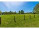 Large recreational field and green space with lush green grass for sports and activities at 1177 Old Ivy Way, Mount Pleasant, SC 29466