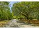 A peaceful, tree-lined street offers a serene welcome, highlighting the neighborhood's natural beauty and charm at 1177 Old Ivy Way, Mount Pleasant, SC 29466