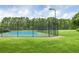 Enjoy a match on this community tennis court, surrounded by lush landscaping and under bright, sunny skies at 1177 Old Ivy Way, Mount Pleasant, SC 29466