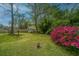 Lush backyard featuring greenery, blooming bushes, and a small storage shed at 123 Tiffany Ln, Summerville, SC 29485