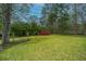 Spacious backyard featuring a lush lawn and mature trees, great for outdoor activities at 123 Tiffany Ln, Summerville, SC 29485
