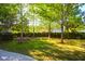 Expansive grassy backyard with mature shade trees at 147 Musket Loop, Summerville, SC 29483