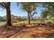 Charming picnic area with a picnic table and charcoal grills in a park-like setting near well-maintained residences at 1537 Cultivation Ln, Mount Pleasant, SC 29466