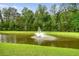Scenic pond view with a fountain surrounded by lush greenery and trees at 227 Oak View Way, Summerville, SC 29483