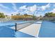 Image shows well-maintained blue and gray tennis and pickleball courts with nets and fencing at 26 Edgewater Aly, Isle of Palms, SC 29451