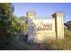 Entrance sign to Wild Dunes community surrounded by tropical foliage and lush greenery at 26 Edgewater Aly, Isle of Palms, SC 29451