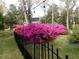 Pink azaleas flourish by a black fence in a well-manicured backyard at 3023 Macbeth Creek Dr, Charleston, SC 29414