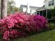 Lush pink azaleas line a black fence in a well-maintained yard at 3023 Macbeth Creek Dr, Charleston, SC 29414