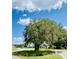 Community entrance showcasing a majestic tree with Spanish moss and well-manicured landscaping at 3025 Dewitt Ct, Hollywood, SC 29449