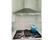 Kitchen with stainless steel hood and tile backsplash at 3025 Dewitt Ct, Hollywood, SC 29449