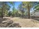 Large backyard with lush trees bordering the property, a serene retreat with room for recreation and relaxation at 3683 Hilton Dr, Johns Island, SC 29455