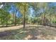 Expansive backyard featuring mature trees and ample space for outdoor activities or future landscaping projects at 3683 Hilton Dr, Johns Island, SC 29455