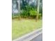 Well-maintained front lawn with lush green grass and mature trees at 4262 Mariners Watch, Kiawah Island, SC 29455