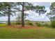 A backyard with tall trees, grass, mulch and boardwalk leading to a dock at 545 Towles Crossing Dr # 29455, Johns Island, SC 29455