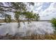 Picturesque marsh view, partially obscured by trees at 546 Towles Crossing Dr, Johns Island, SC 29455