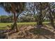 Expansive backyard featuring mature trees, lush green grass, and hints of the home's exterior at 764 Summerwind Cir, Edisto Beach, SC 29438
