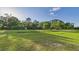 A spacious grassy lawn with trees along the border on a sunny day at 1086 Arrowhead Rd, Saint Stephen, SC 29479