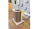 Exterior shot of the home's AC unit at 109 Alexander St, Walterboro, SC 29488