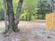 View of the spacious backyard area at 109 Alexander St, Walterboro, SC 29488
