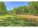 View of the creek running behind the house in the backyard surrounded by a green lawn and mature trees on a sunny day at 134 Comiskey Park Cir, Summerville, SC 29485
