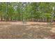 Community park with picnic tables, benches, and a basketball court surrounded by tall trees at 134 Comiskey Park Cir, Summerville, SC 29485
