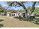 A wide view of the one-story home with a lush tree in the front yard at 1387 W Lenevar Dr, Charleston, SC 29407