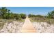 Scenic boardwalk leading to the beach, surrounded by sand dunes and lush greenery at 14 Royal Beach Dr, Kiawah Island, SC 29455
