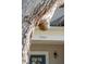 Close up view of home's address, showing craftsman-style front door at 1543 Gemstone Dr, Mount Pleasant, SC 29464
