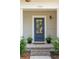 Craftsman-style front door with glass panels, potted plants, and brick steps at 1543 Gemstone Dr, Mount Pleasant, SC 29464