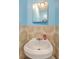 Retro-style powder room with blue walls, patterned wallpaper, pedestal sink and mirror at 202 Oak Cir, Walterboro, SC 29488