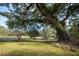 Spacious backyard with mature trees, a green lawn, and a charming wooden bench at 2042 Highway 402, Moncks Corner, SC 29461