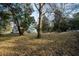 Charming home with light green siding nestled amongst mature trees on a large lot at 2042 Highway 402, Moncks Corner, SC 29461